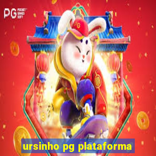 ursinho pg plataforma